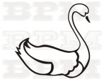 /album/fotogaleria-celtic/celtic-17-jpg/